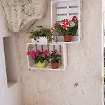 La Culla Di Adeodata Marsala